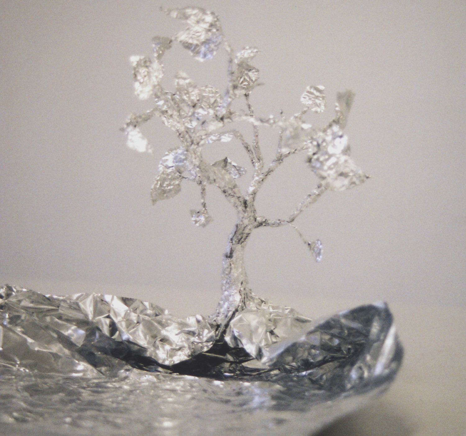 untitled tree 2006 ︱ cooking foil ︱ dimensions variable