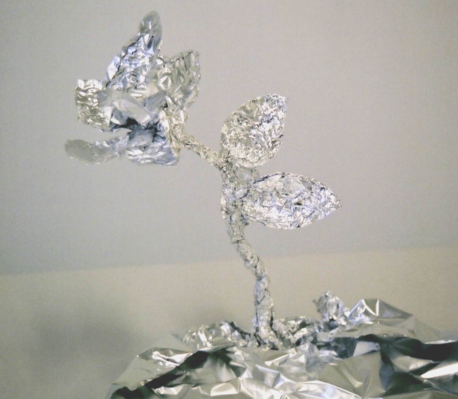 cooking foil 2006 ︱  dimensions variable