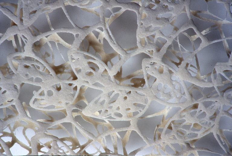 untitled – sand dress 2003  ︱  sand, glue, wood sticks  ︱  dimensions variable